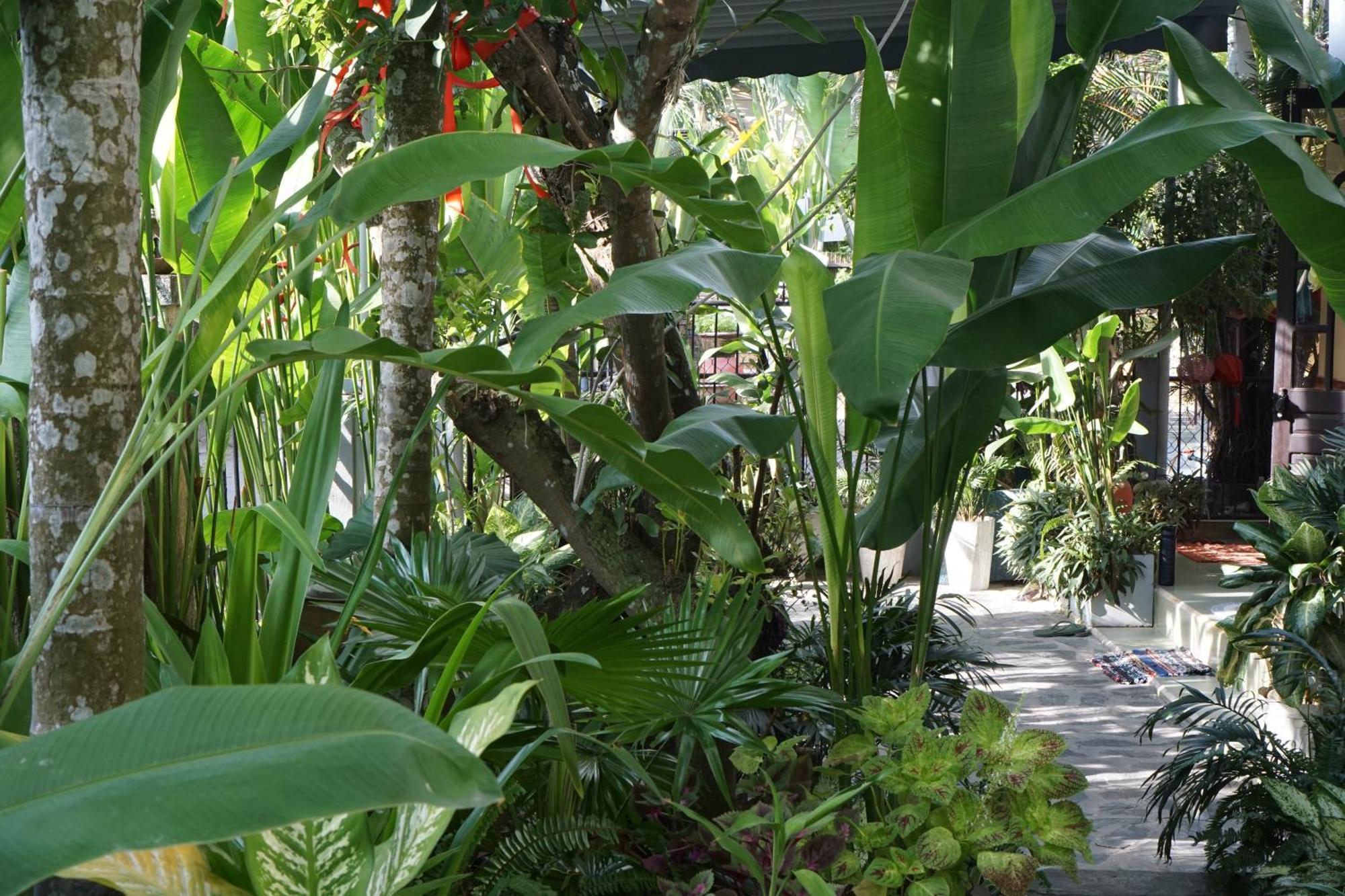 Hoi An Sunny Garden Apartment Exterior photo