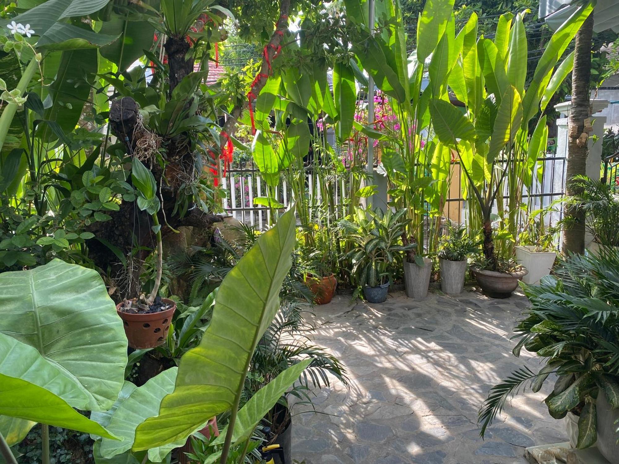 Hoi An Sunny Garden Apartment Exterior photo