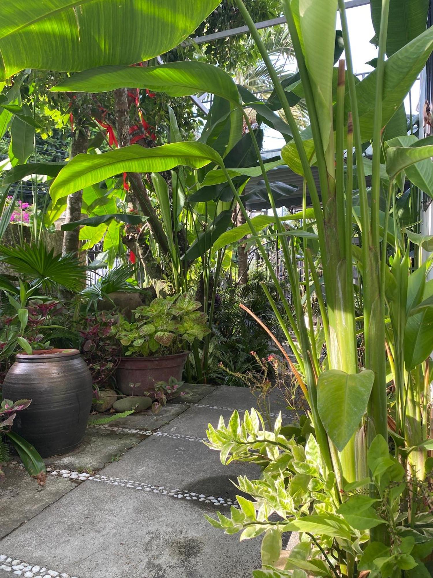 Hoi An Sunny Garden Apartment Exterior photo